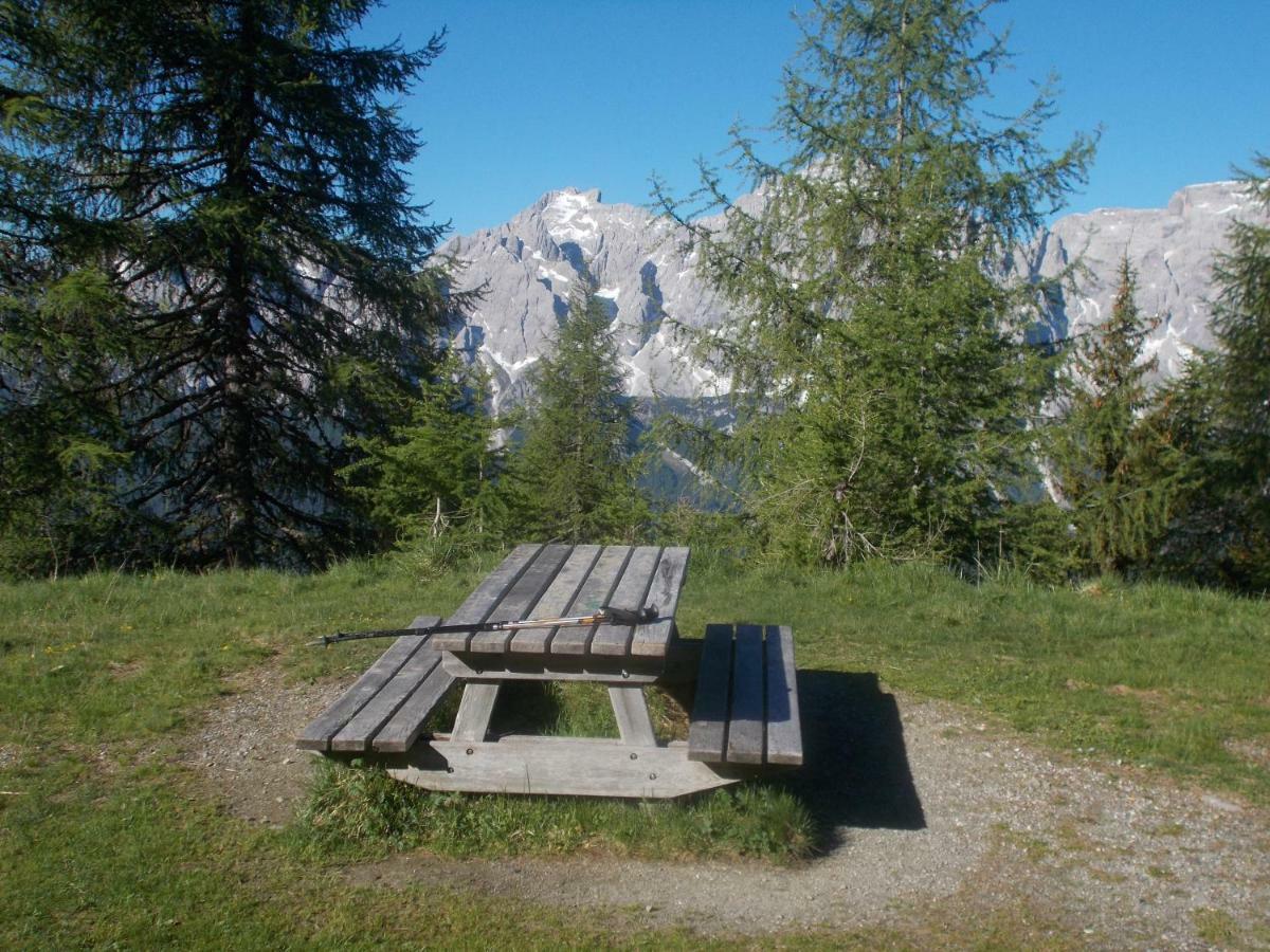 Balcone Sulle Dolomiti Apartamento Comèlico Superiore Exterior foto